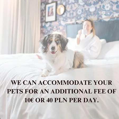 Lumina 3-room Near The Royal Castle ワルシャワ